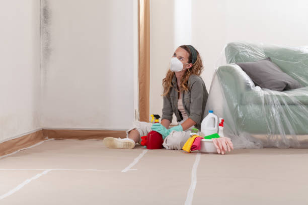 Reliable Mold Remediation contractor in Pine Level, NC by 24 Hour Mold Removal